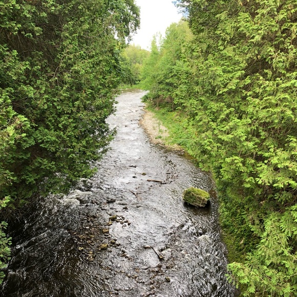 Meet your Posher, Mckenzie - Picture 1 of 1